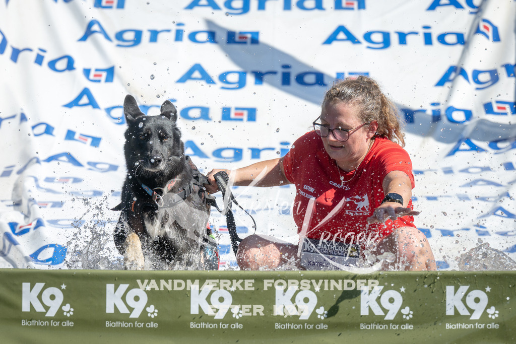 1151_ZZ94330 | kk-dogfotos