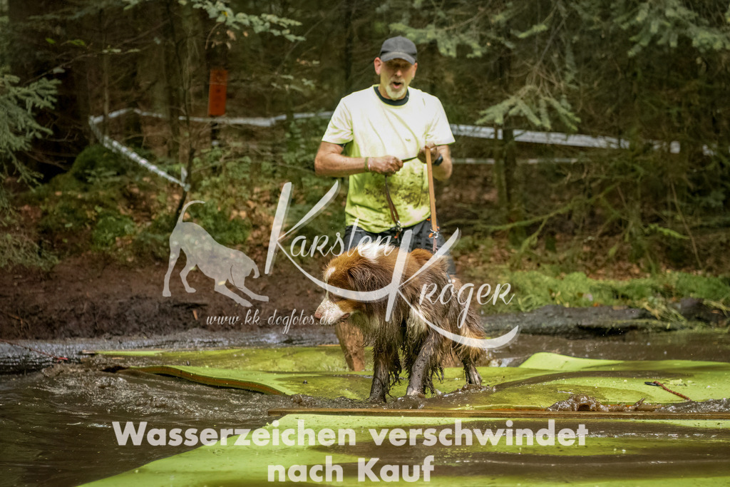 1230_ZZ94998-Bearbeitet | kk-dogfotos