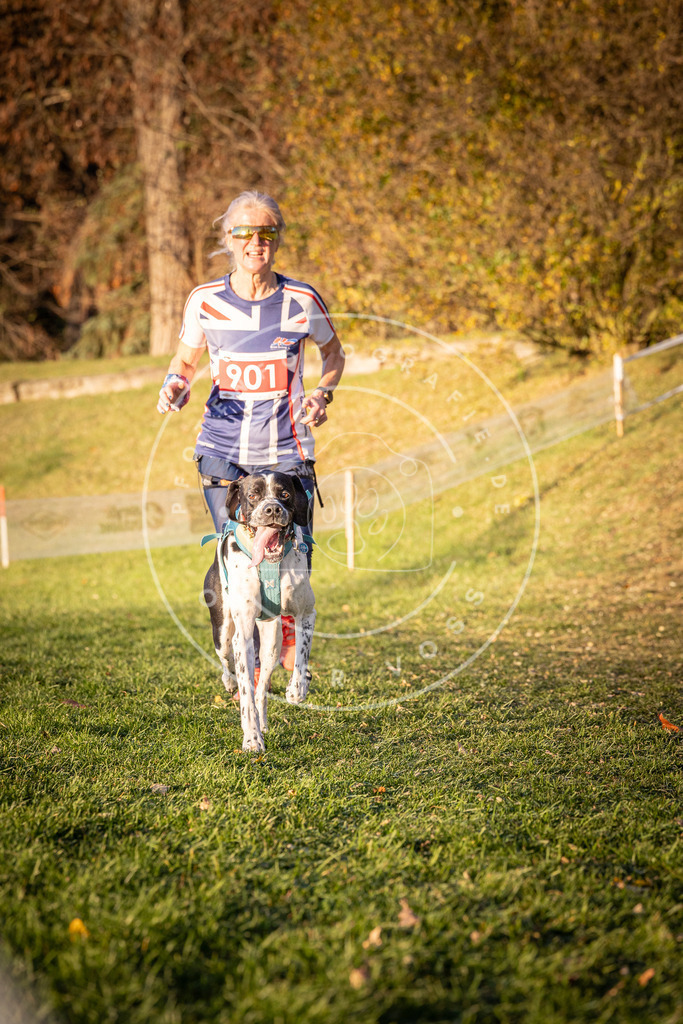 CaniXpix_0L8A1337 | Hundefotografie, Tierfotograf, Pfotenfotografie, Fotoshooting Hund, Hunde Portrait, Hundesport, Hundeportraits, Heideshooting, Hunde, Sportfotograf, Hundefotograf, Turnierhundsport, THS,  - Realisiert mit Pictrs.com