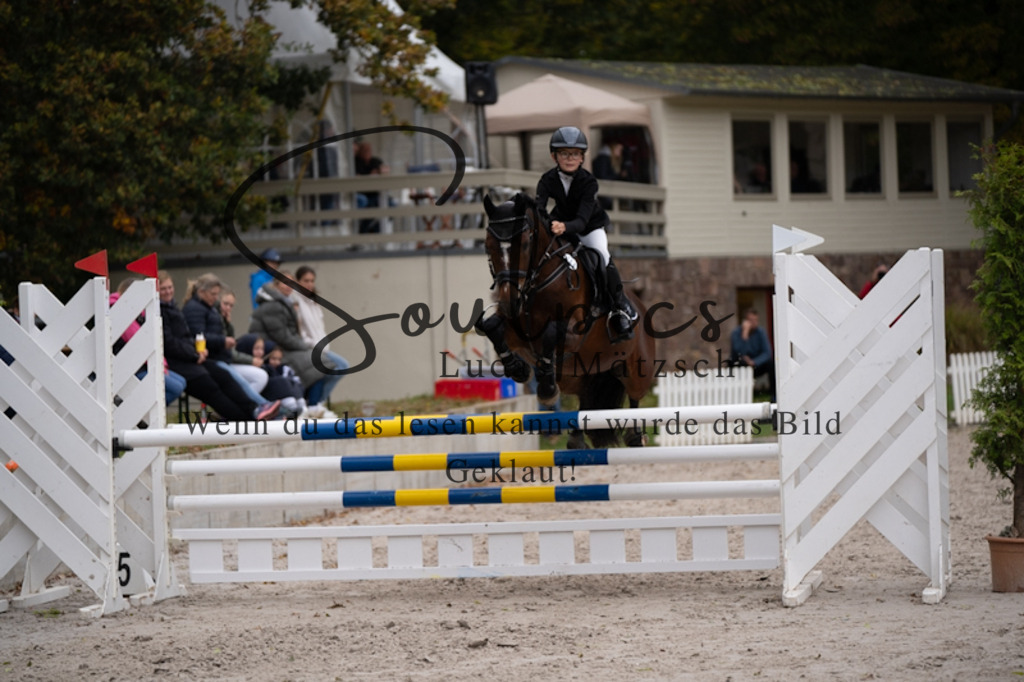 A7V09538 | Pferdefotograf