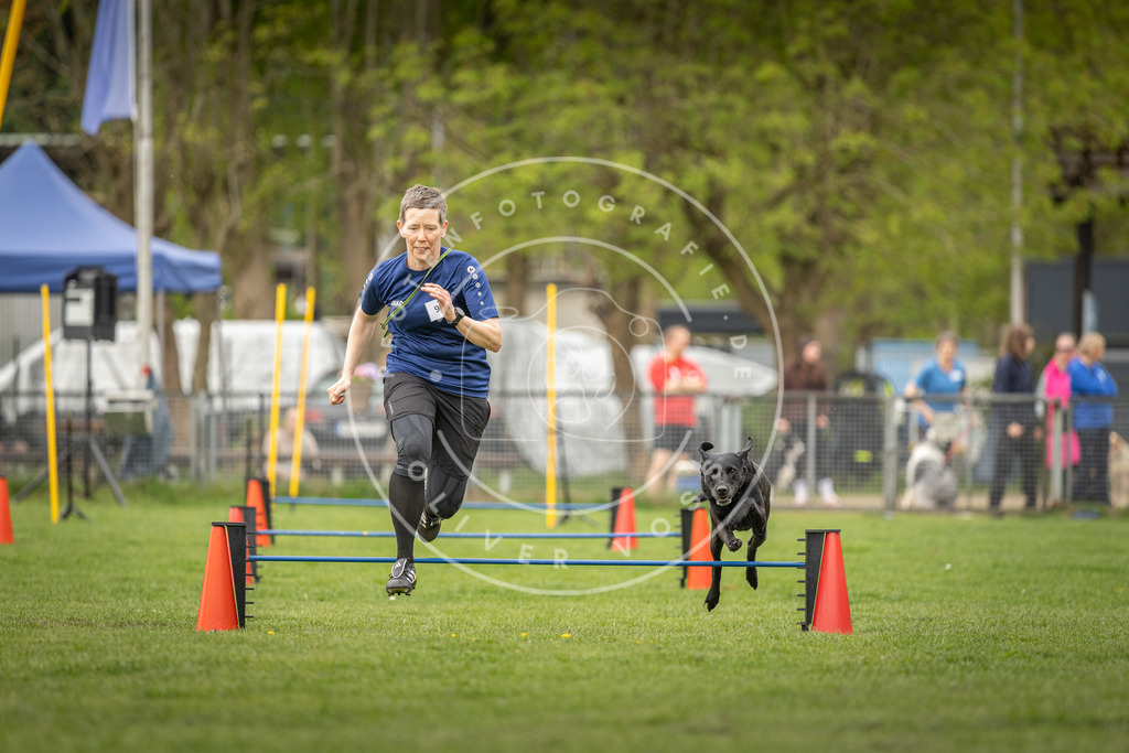 Pfotenfotografie_DV3A8526 | Hundefotografie, Tierfotograf, Pfotenfotografie, Fotoshooting Hund, Hunde Portrait, Hundesport, Hundeportraits, Heideshooting, Hunde, Sportfotograf, Hundefotograf, Turnierhundsport, THS,  - Realisiert mit Pictrs.com