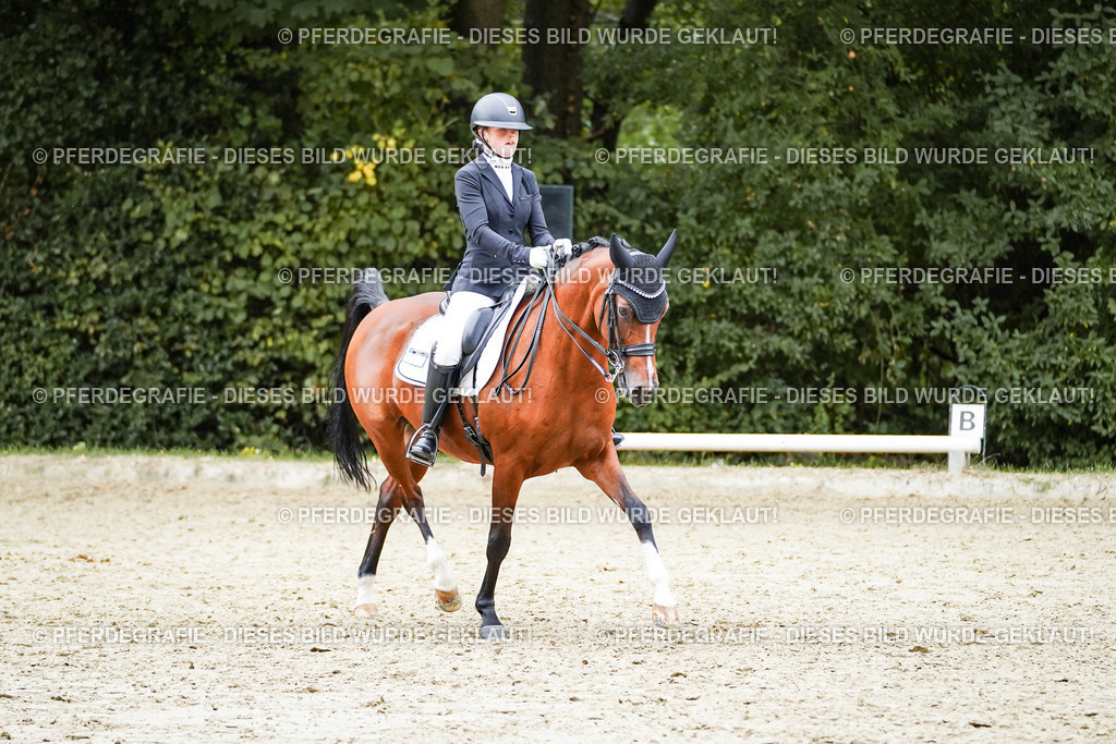 DSC01722 | Pferdegrafie