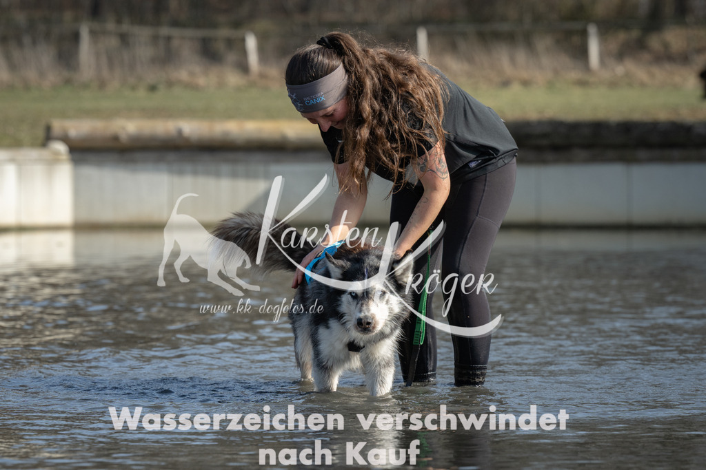 1330_ZZ96675 | kk-dogfotos
