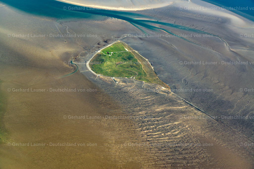 3801592 | Hallig Südfall, Nationalpark Schleswig-Holsteinisches Wattenmeer.