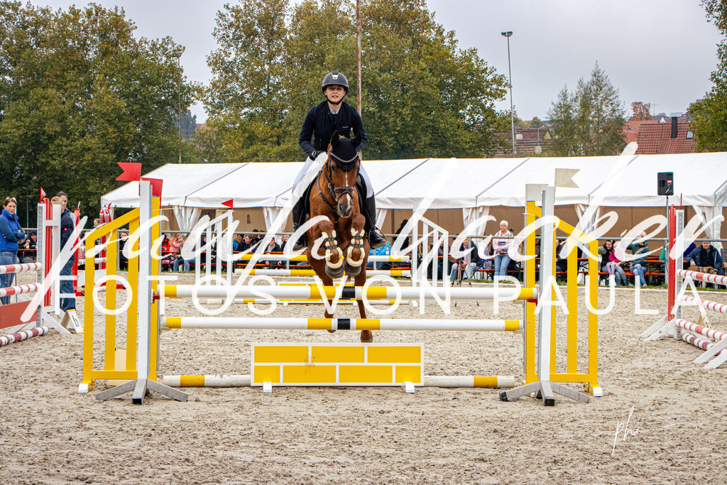 IMG_3201 | Erleben Sie dynamische Sport- und emotionale Tierfotografie in Süddeutschland mit Fotos von Paula. Spezialisiert auf Pferde- und Hundefotografie sowie Sportevents. Kontaktieren Sie mich für einzigartige und ausdrucksstarke Bilder Ihrer besonderen Momente. - Realisiert mit Pictrs.com