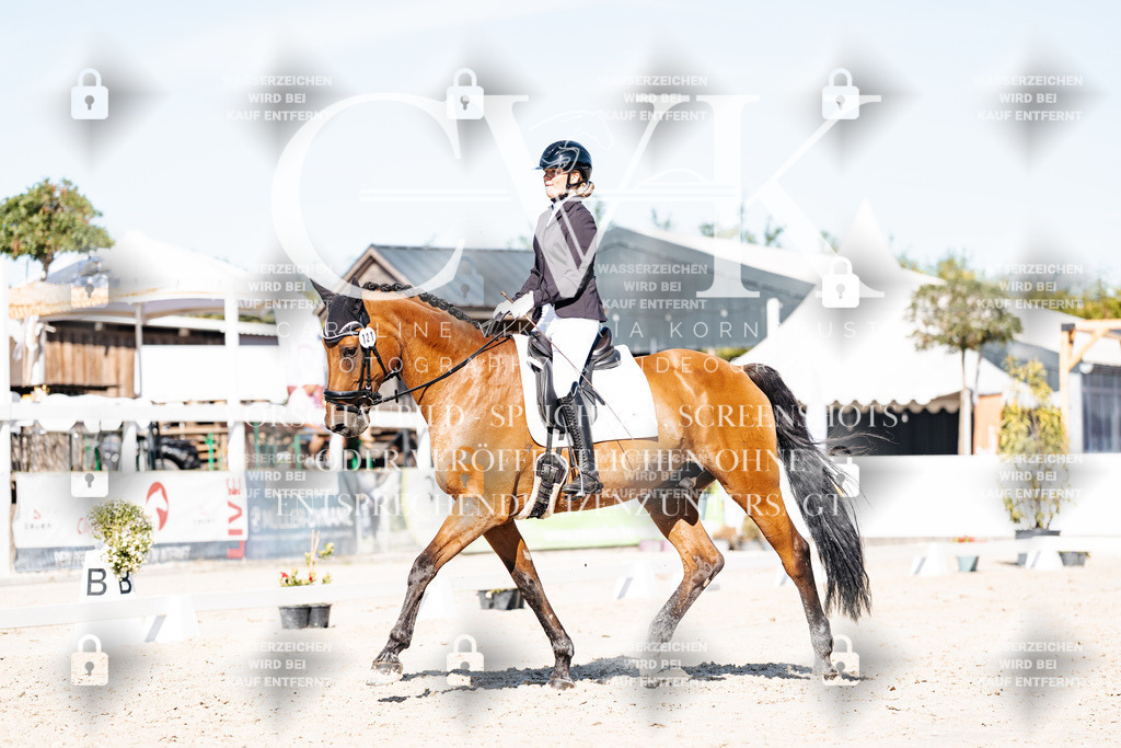 CK908089 | Turnierfotografie Pferdefotografie Trier Rheinland-Pfalz Pferdesport Reitsport Tierfotografie Sportfotografie Pferdevideo Pferdevideografie Equestrianvideography equestrianphotography  - Realisiert mit Pictrs.com