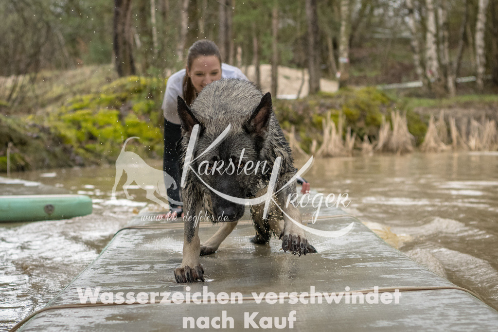 1249_ZZ93521 | kk-dogfotos