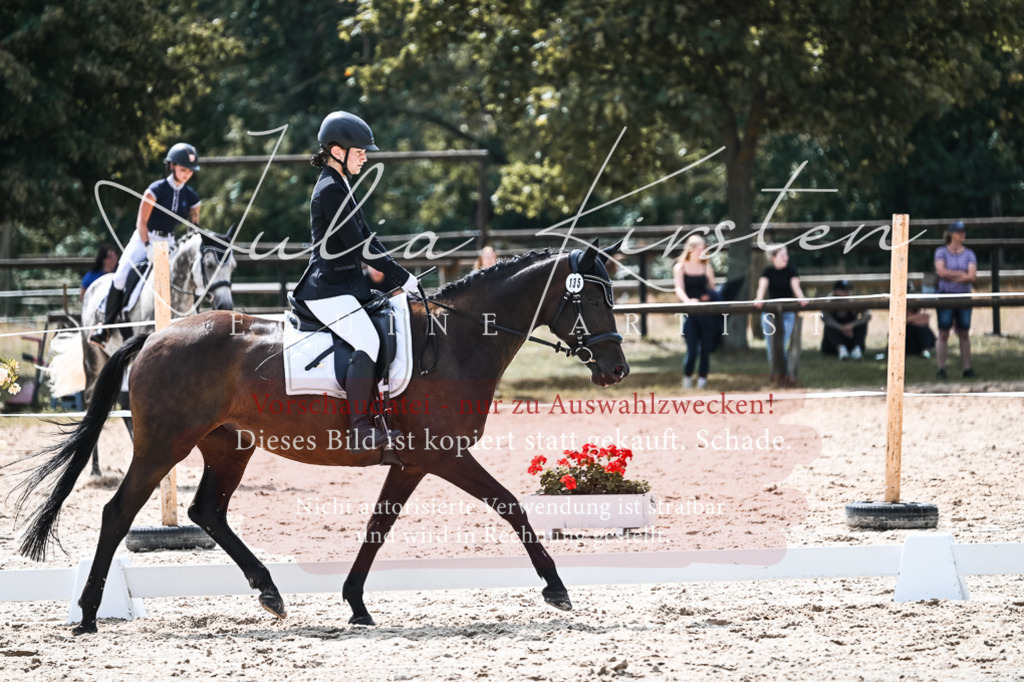DSC_5243 | Pferde- und Turnierfotografie in Westsachsen. Pferdeportraits, Auftragszeichnungen und intuitive Kunst.