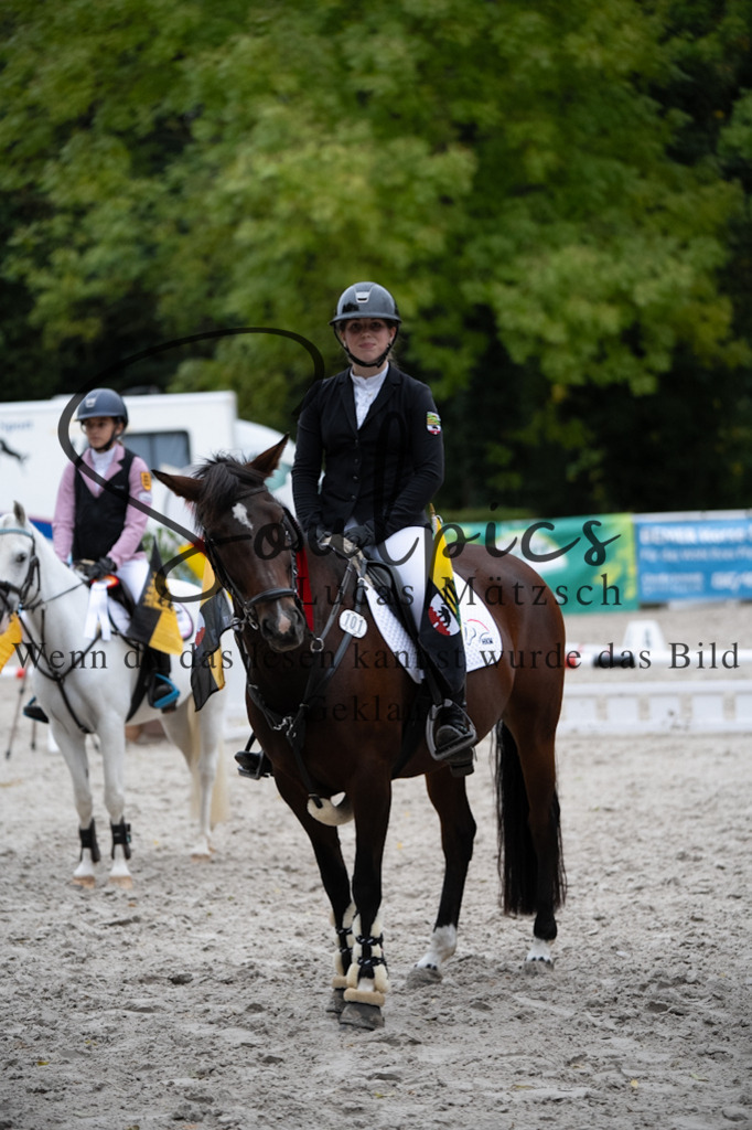 A7V08913 | Pferdefotograf