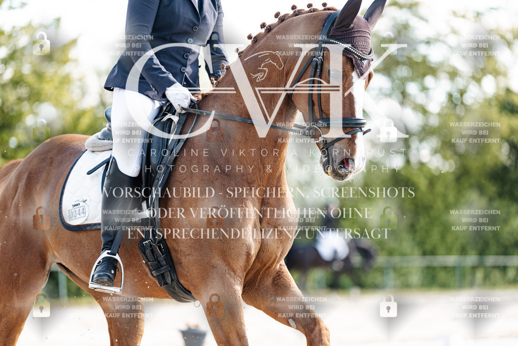 CK909359 | Turnierfotografie Pferdefotografie Trier Rheinland-Pfalz Pferdesport Reitsport Tierfotografie Sportfotografie Pferdevideo Pferdevideografie Equestrianvideography equestrianphotography  - Realisiert mit Pictrs.com