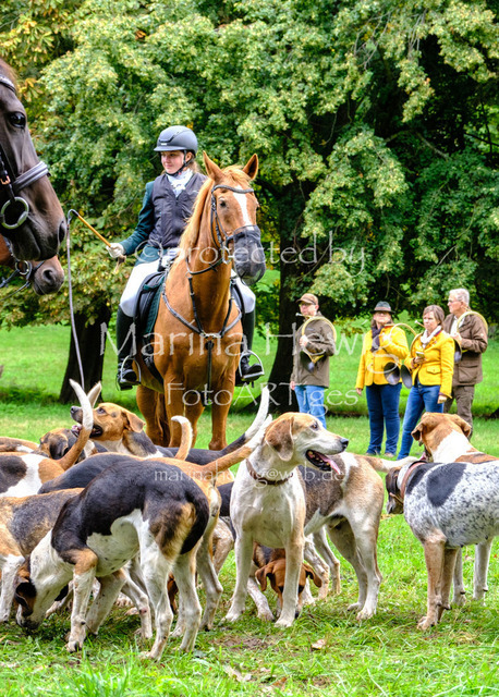 Jagd Perdoel 26 Fuji-9743_MarinaHewig | Fotografie, FotoArt, PferdesportArt, Pferdesportfotografie, Landschaftsfotografie, Reisefotografie, Reise, Pferde - Realisiert mit Pictrs.com