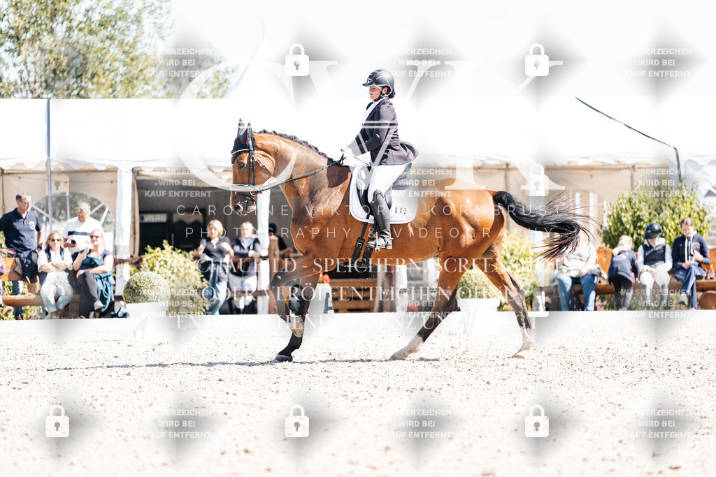 CK903218 | Turnierfotografie Pferdefotografie Trier Rheinland-Pfalz Pferdesport Reitsport Tierfotografie Sportfotografie Pferdevideo Pferdevideografie Equestrianvideography equestrianphotography  - Realisiert mit Pictrs.com