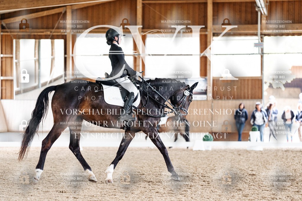 CK901332 | Turnierfotografie Pferdefotografie Trier Rheinland-Pfalz Pferdesport Reitsport Tierfotografie Sportfotografie Pferdevideo Pferdevideografie Equestrianvideography equestrianphotography  - Realisiert mit Pictrs.com