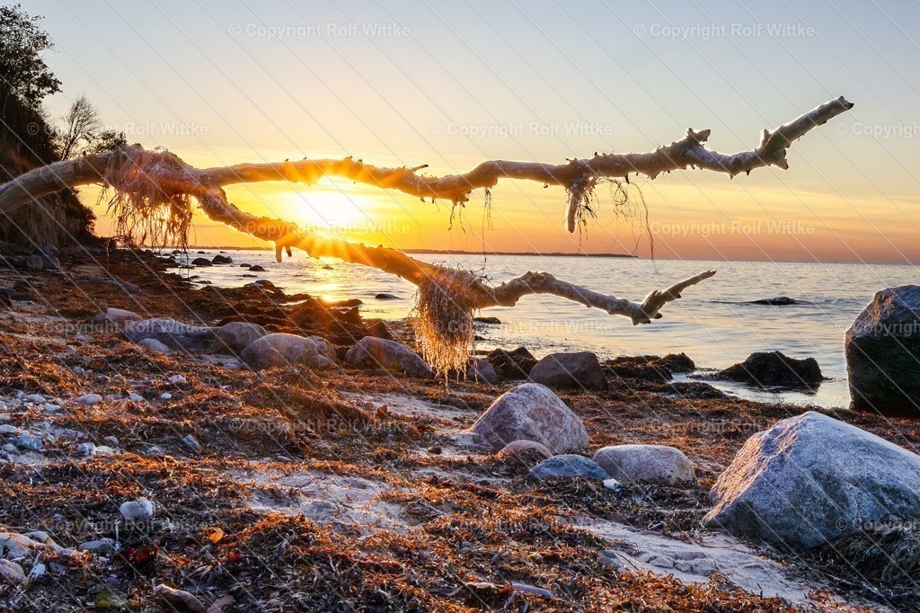 poel3.5 | Rolf Wittke  - Realisiert mit Pictrs.com