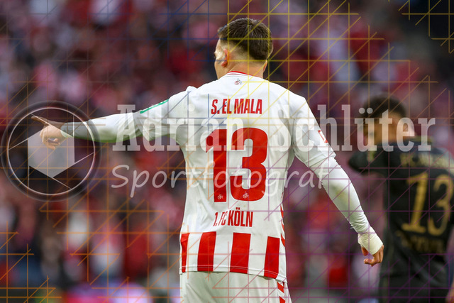 1. FC Köln vs FC Augsburg - 1. Bundesliga  | Köln, Deutschland, 18.10.25:   Said El Mala (1. FC Köln) gestikuliert, Gestik nach seinem Treffer zum 1:1 waehrend des Spiels der 1. Bundesliga zwischen  1. FC Köln vs FC Augsburg im RheinEnergieStadion(Foto von Brauer-Fotoagentur / Adrian Schlueter)