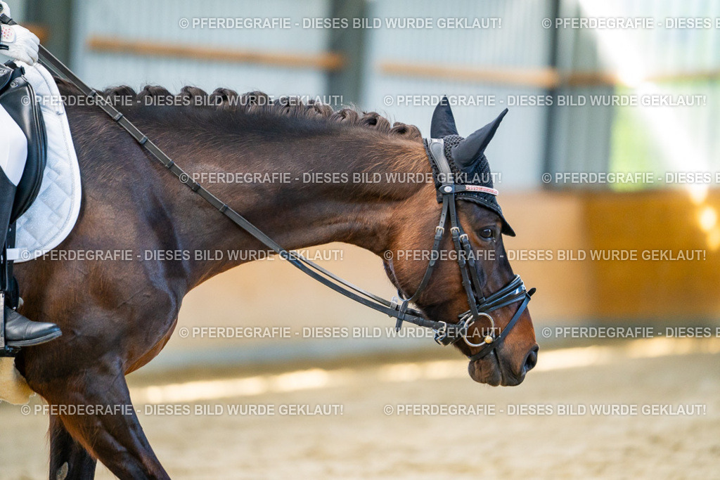 DSC06415 | Pferdegrafie