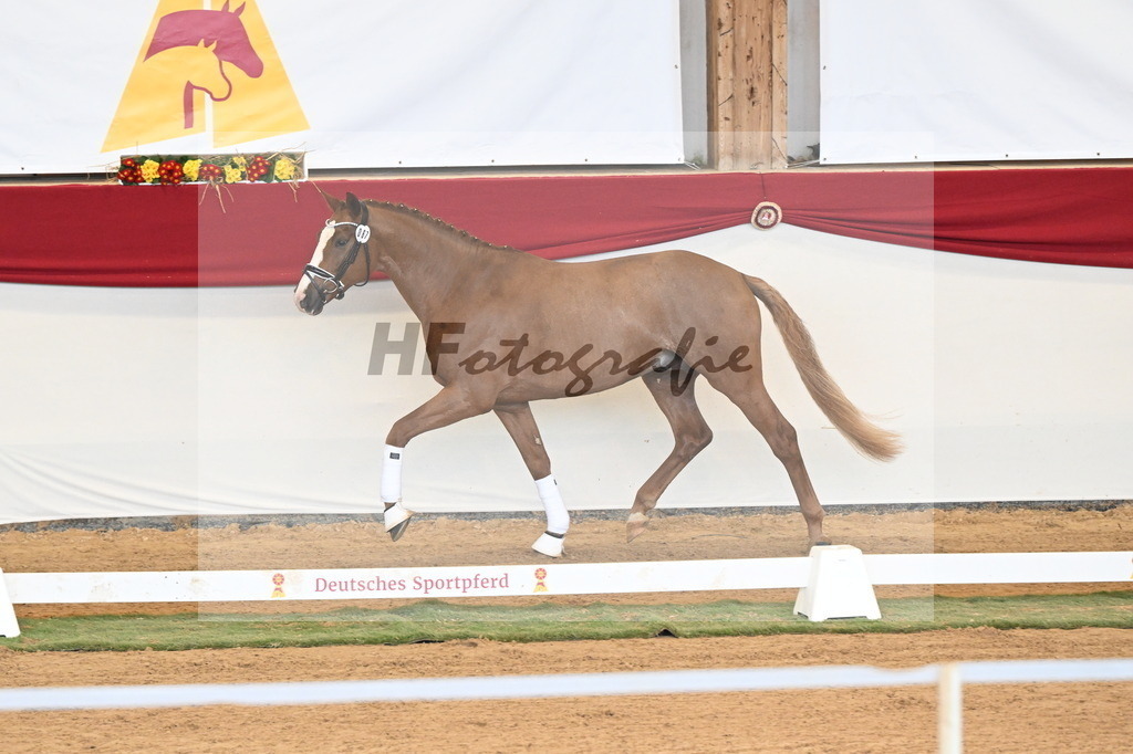 Kat.-Nr. 67 v. Iron_Reglauer_3260973 | hf-fotografie - Realizzato con Pictrs.com