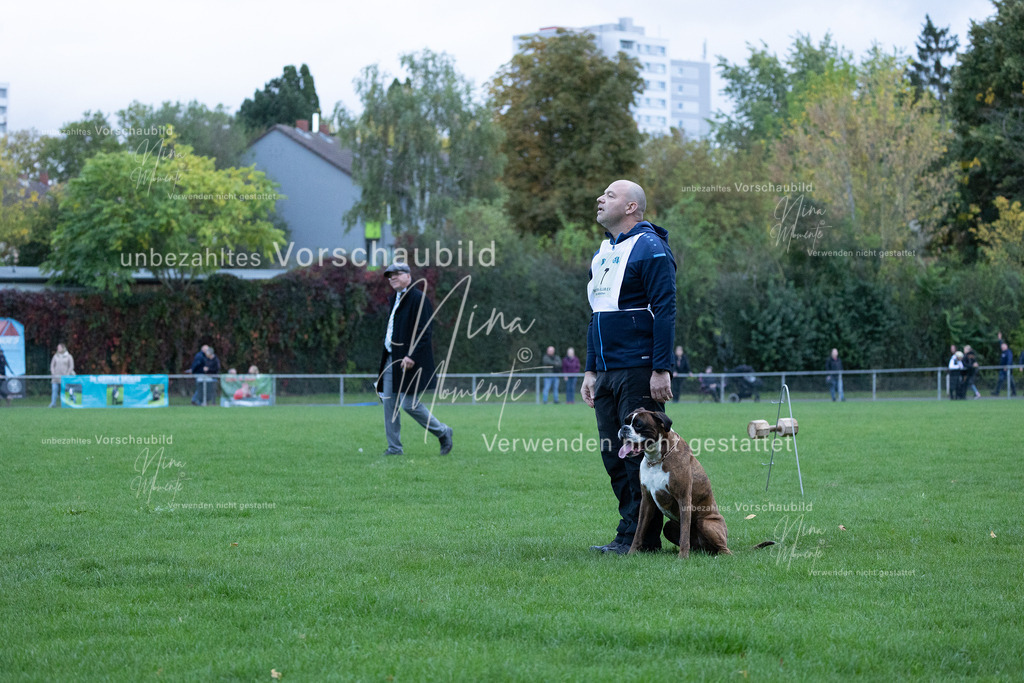 _16A4465 | Einzigartige Fotos von Hunden & Menschen –Actionfotos, Portraits, Vereinsaufnahmen & Paarshootings – authentisch, lebendig & mit Herz.