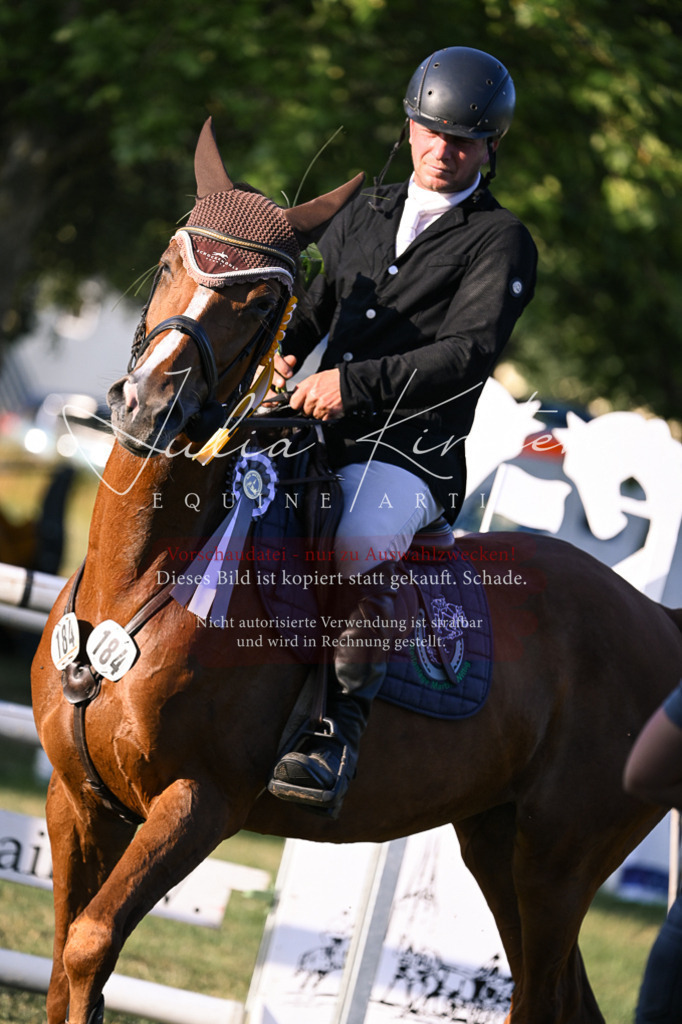DSC_1861 | Pferde- und Turnierfotografie in Westsachsen. Pferdeportraits, Auftragszeichnungen und intuitive Kunst.