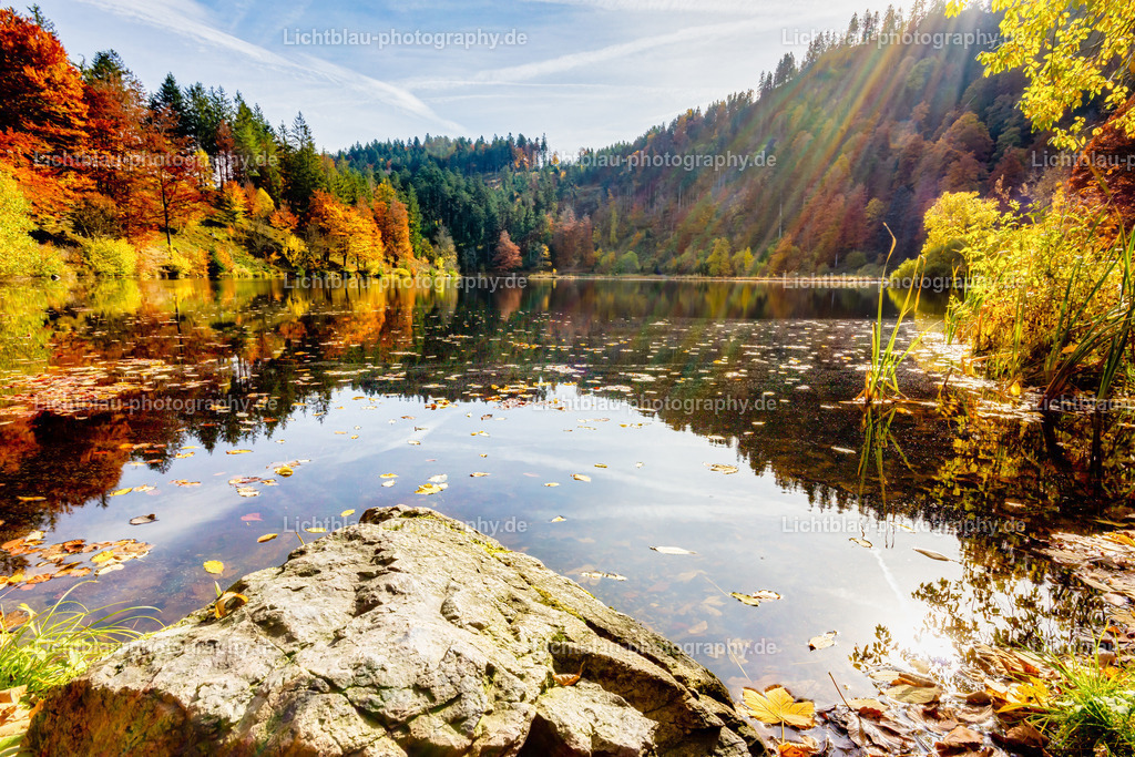 Schöner See im Süd Schwarzwald | Der Nonnenmattweiher ist ein mittels Damm aufgestauter See mit einer Moor- bzw. Torfinsel und ein ihn und seine Umgebung umfassendes namensgleiches Naturschutzgebiet im Südschwarzwald und Naturraum Hochschwarzwald in Baden-Württemberg.  - Realisiert mit Pictrs.com