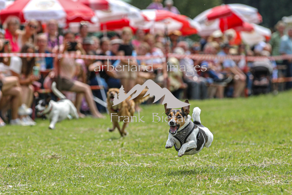 OE7A4319 | Beim Zugpferdetreffen in Poschedtsried galt es verschiedene Wettbewerbe zu meistern, Einzelrennen im Reiten, Traktorpulling und auch ein Hunderennen wurde veranstaltet