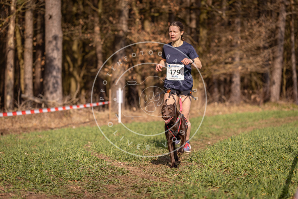 DV3A6463 | Hundefotografie, Tierfotograf, Pfotenfotografie, Fotoshooting Hund, Hunde Portrait, Hundesport, Hundeportraits, Heideshooting, Hunde, Sportfotograf, Hundefotograf, Turnierhundsport, THS,  - Realisiert mit Pictrs.com