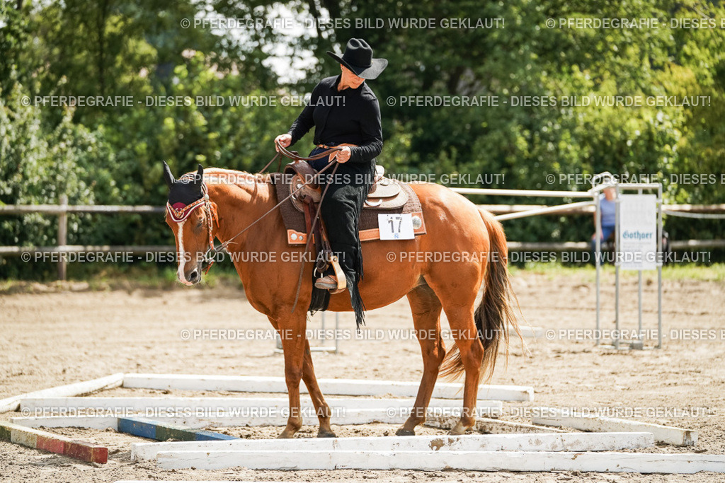 DSC05988 | Pferdegrafie