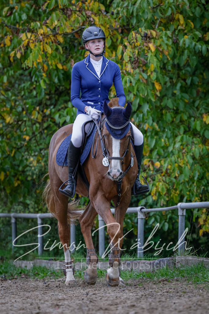 20251012-_3LI2891 | Tierfotografie Pferde, Hunde, Katzen, Haustiere.
Turnierfotografie Reitturniere, Reiten, Springreiten, Dressur in Hanau, dem Main-Kinzig-Kreis und dem Rhein-Main- Gebiet um Frankfurt
