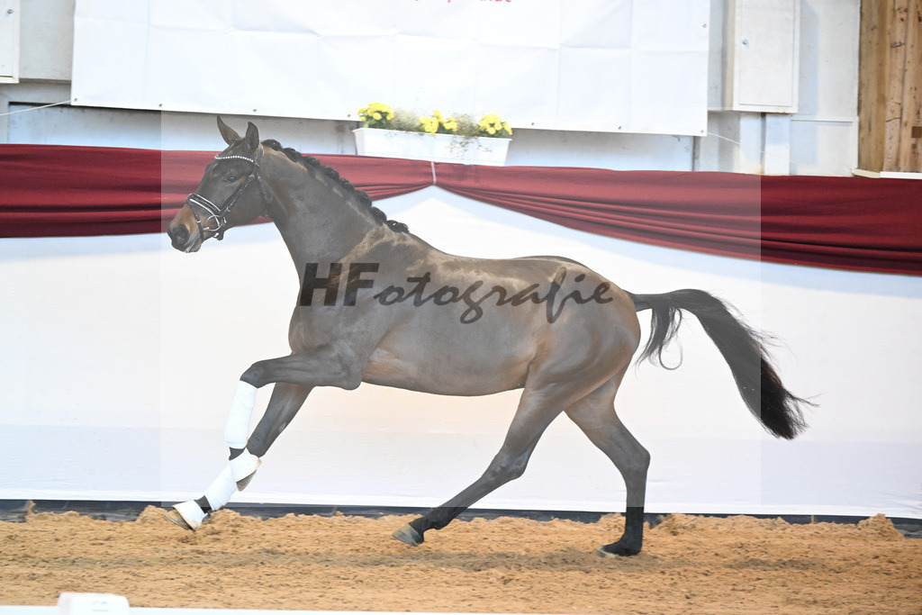 Kat-Nr. 9 v. Bonds_Schmidt_66221700 | hf-fotografie - Realisiert mit Pictrs.com