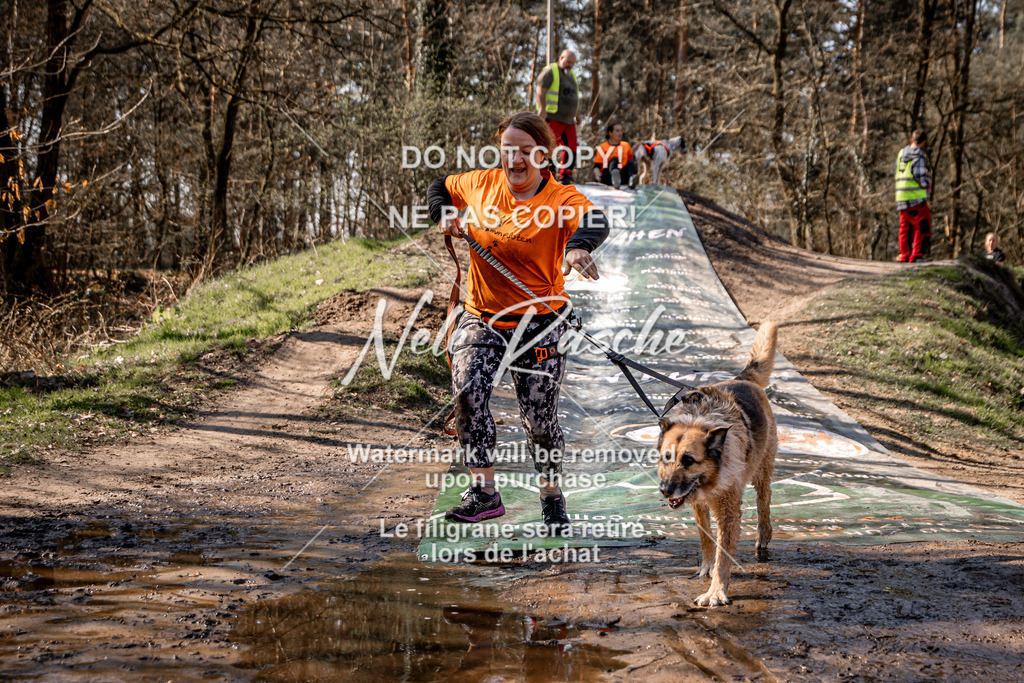 nelerasche_Hulsbeek_So1230-1300_82 | nelerasche