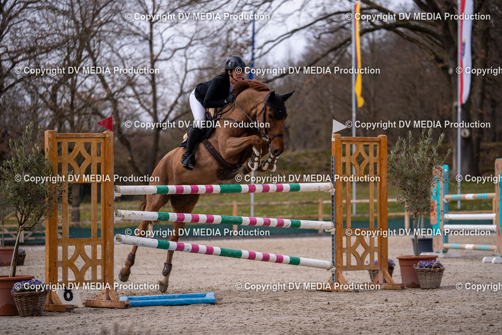 Kranichstein Tag 2-2212 | dv-media-shop - Realisiert mit Pictrs.com