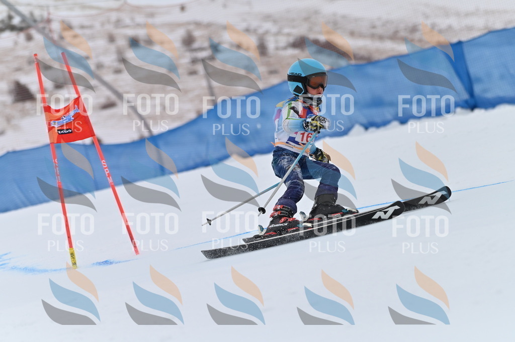 BGV_0443 | holidayphoto