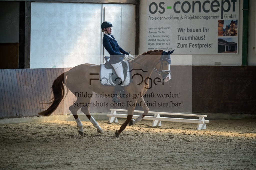 Reitturnier Voxtrup | Entdecke hochwertige Reitturnierfotos von Foto Oger. Professionell, emotional und authentisch – jetzt Lieblingsmomente im Shop bestellen.Deutschlandweite Turnierfotografie. - Realisiert mit Pictrs.com