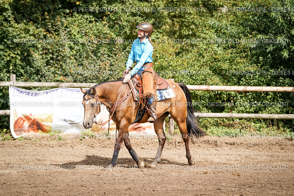 DSC08493 | Pferdegrafie