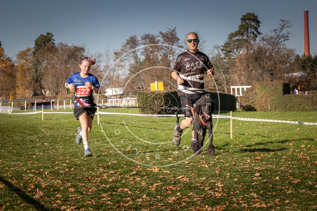 CaniXpix_0L8A7180 | Hundefotografie, Tierfotograf, Pfotenfotografie, Fotoshooting Hund, Hunde Portrait, Hundesport, Hundeportraits, Heideshooting, Hunde, Sportfotograf, Hundefotograf, Turnierhundsport, THS,  - Realisiert mit Pictrs.com
