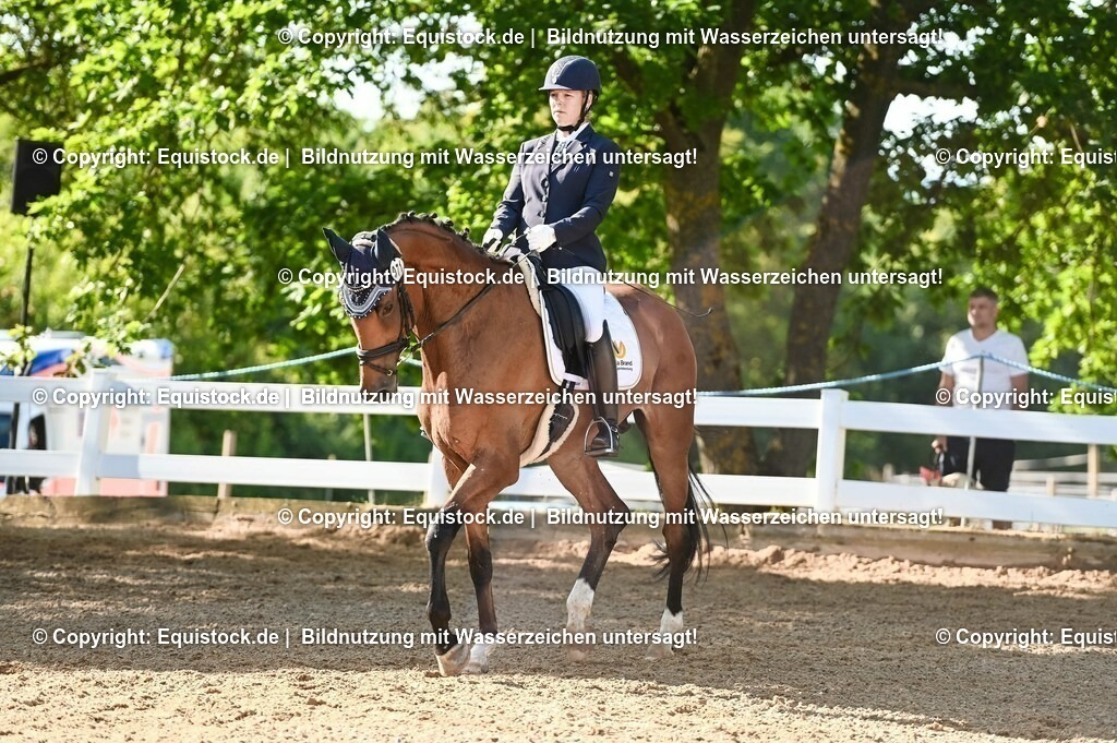 20230715_06_Dressurpferdeprfg. Kl.A_0190 | equistock