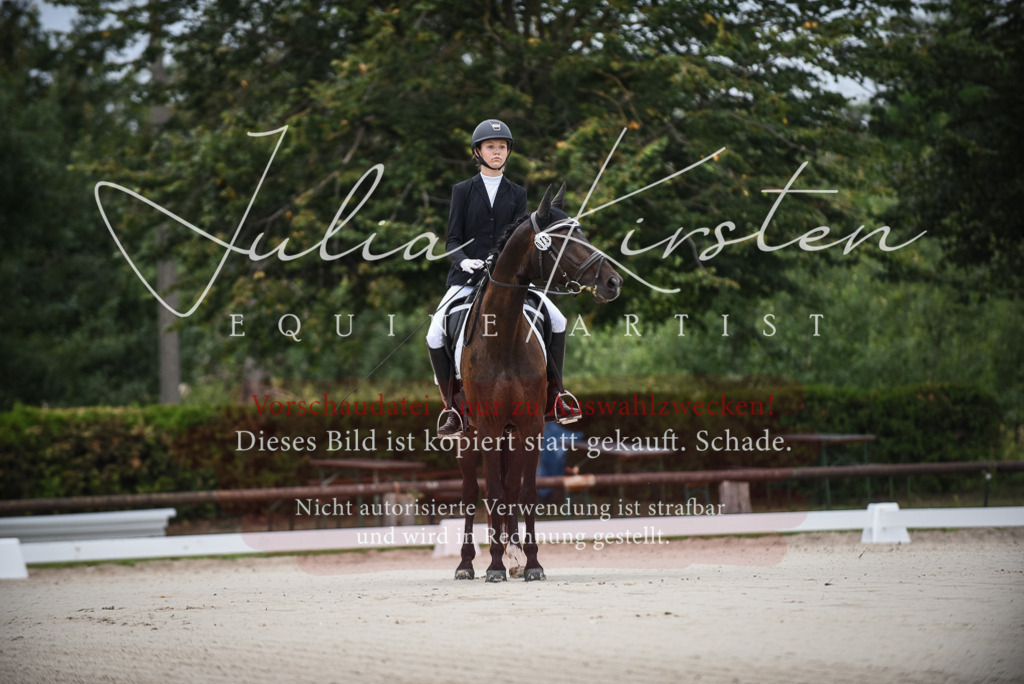 DSC_7909 | Pferde- und Turnierfotografie in Westsachsen. Pferdeportraits, Auftragszeichnungen und intuitive Kunst.