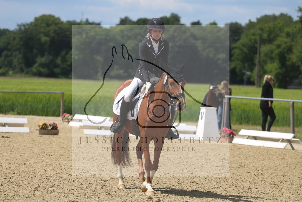 IMG_4462 | jessicahollubetz_pferdephotographie - Realisiert mit Pictrs.com