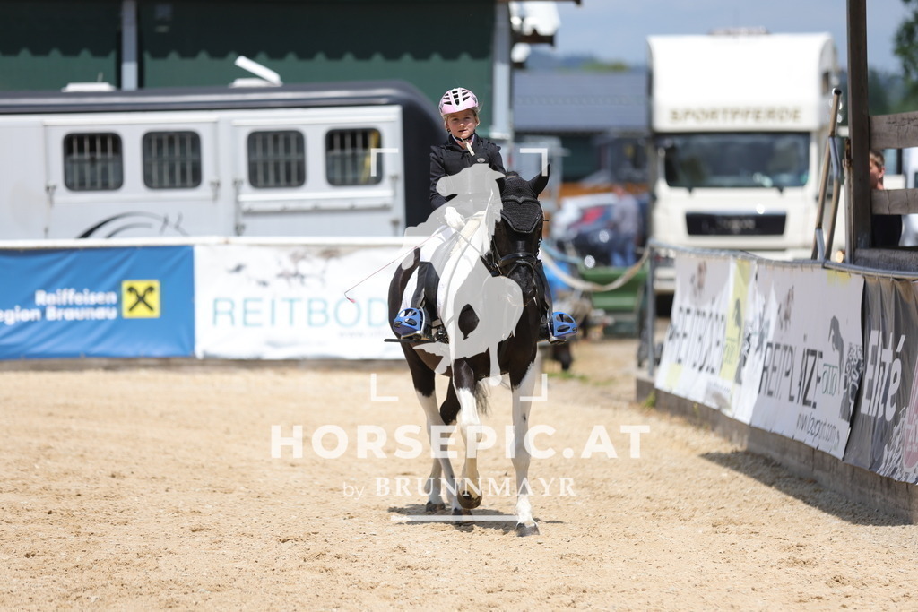 0P6A1615 | Willkommen bei Brunnmayr - Design & Fotografie – Ihrem Spezialisten für Reitturniere und Pferdeveranstaltungen in Oberösterreich, Salzburg und Bayern! Seit über 17 Jahren sind wir leidenschaftlich dabei.