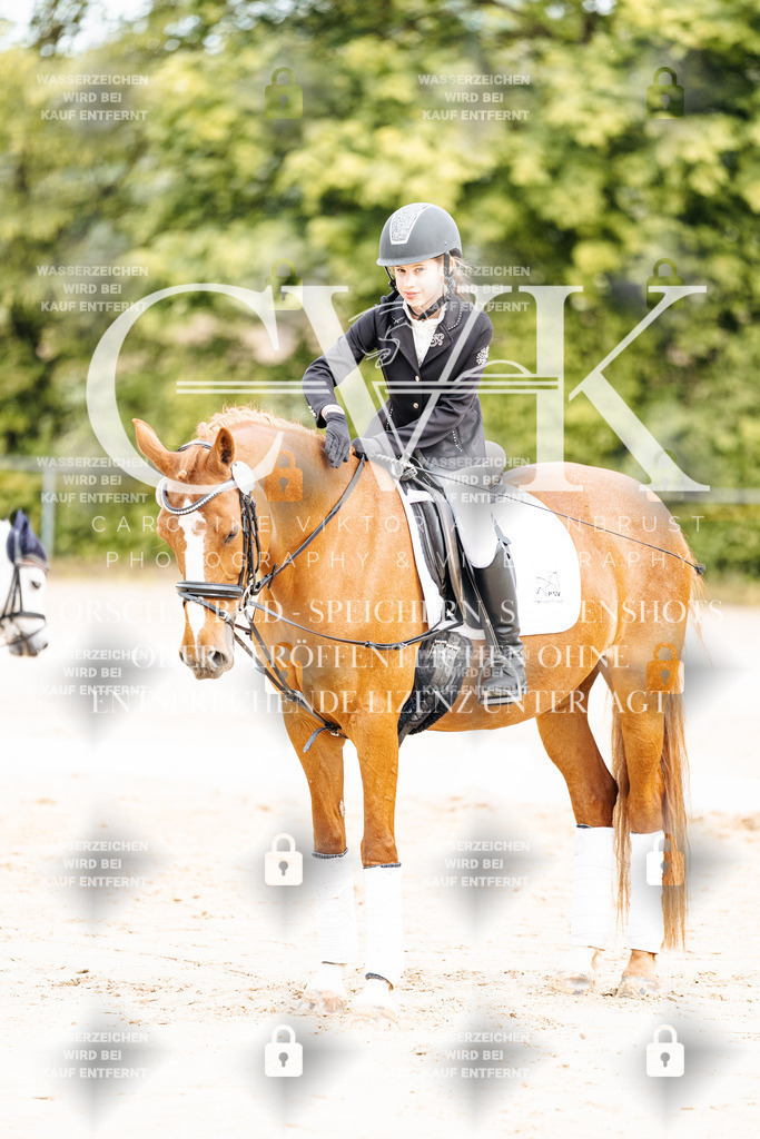 CK904707 | Turnierfotografie Pferdefotografie Trier Rheinland-Pfalz Pferdesport Reitsport Tierfotografie Sportfotografie Pferdevideo Pferdevideografie Equestrianvideography equestrianphotography  - Realisiert mit Pictrs.com