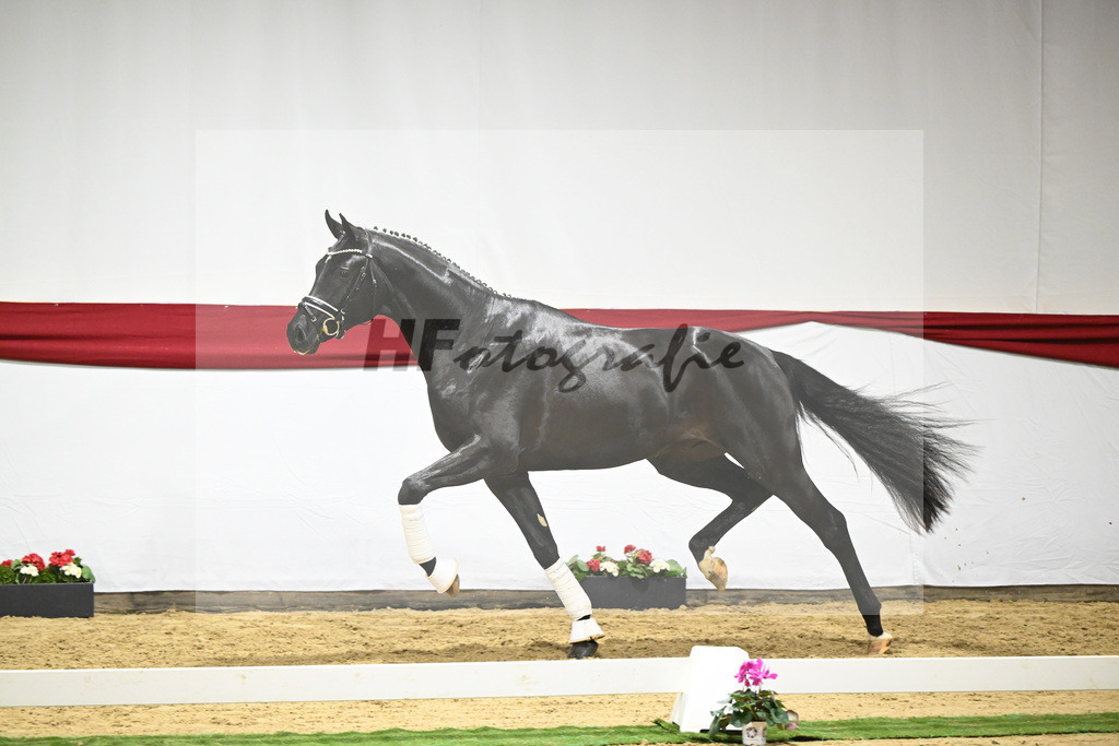 Kat-Nr. 65 v. Ferrantino_Greim_63221650 | hf-fotografie - Realizzato con Pictrs.com