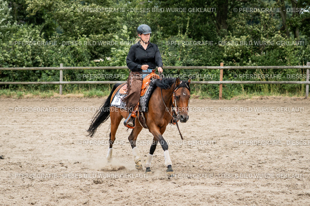 DSC02030 | Pferdegrafie