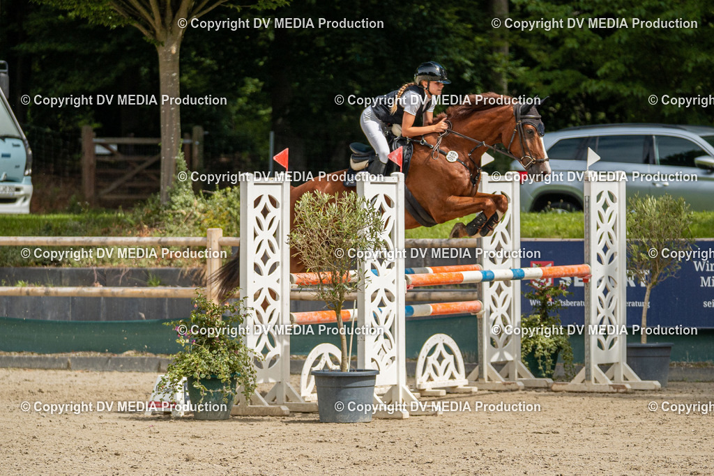 Hessische Tag 3-059 | dv-media-shop - Realisiert mit Pictrs.com