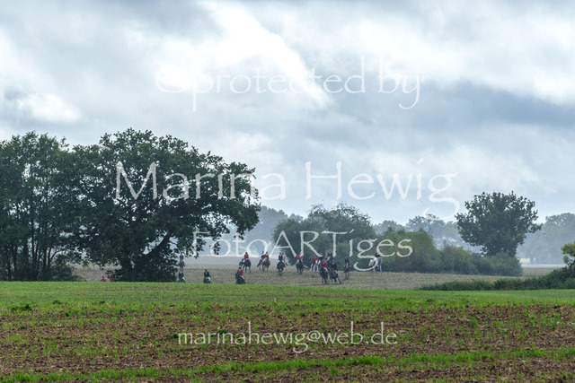 Jagd Perdoel 26 Sony-03394_MarinaHewig | Fotografie, FotoArt, PferdesportArt, Pferdesportfotografie, Landschaftsfotografie, Reisefotografie, Reise, Pferde - Realisiert mit Pictrs.com