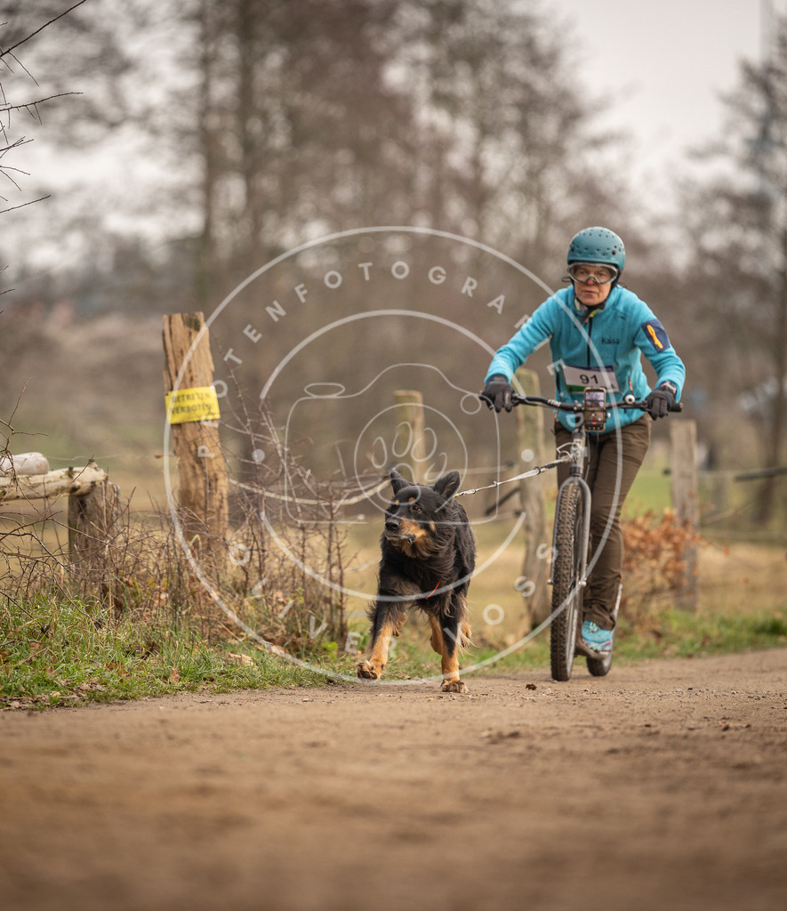 Pfotenfotografie_DV3A4255 | Hundefotografie, Tierfotograf, Pfotenfotografie, Fotoshooting Hund, Hunde Portrait, Hundesport, Hundeportraits, Heideshooting, Hunde, Sportfotograf, Hundefotograf, Turnierhundsport, THS,  - Realisiert mit Pictrs.com