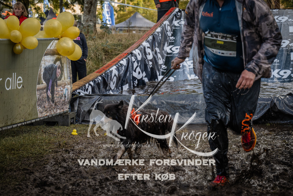 1538_ZZ90305 | kk-dogfotos