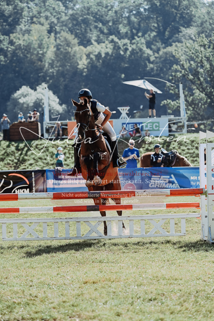 DSC_5426 | Pferde- und Turnierfotografie in Westsachsen. Pferdeportraits, Auftragszeichnungen und intuitive Kunst.