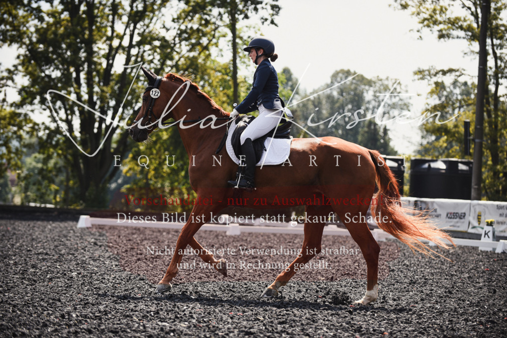 DSC_4115 | Pferde- und Turnierfotografie in Westsachsen. Pferdeportraits, Auftragszeichnungen und intuitive Kunst.