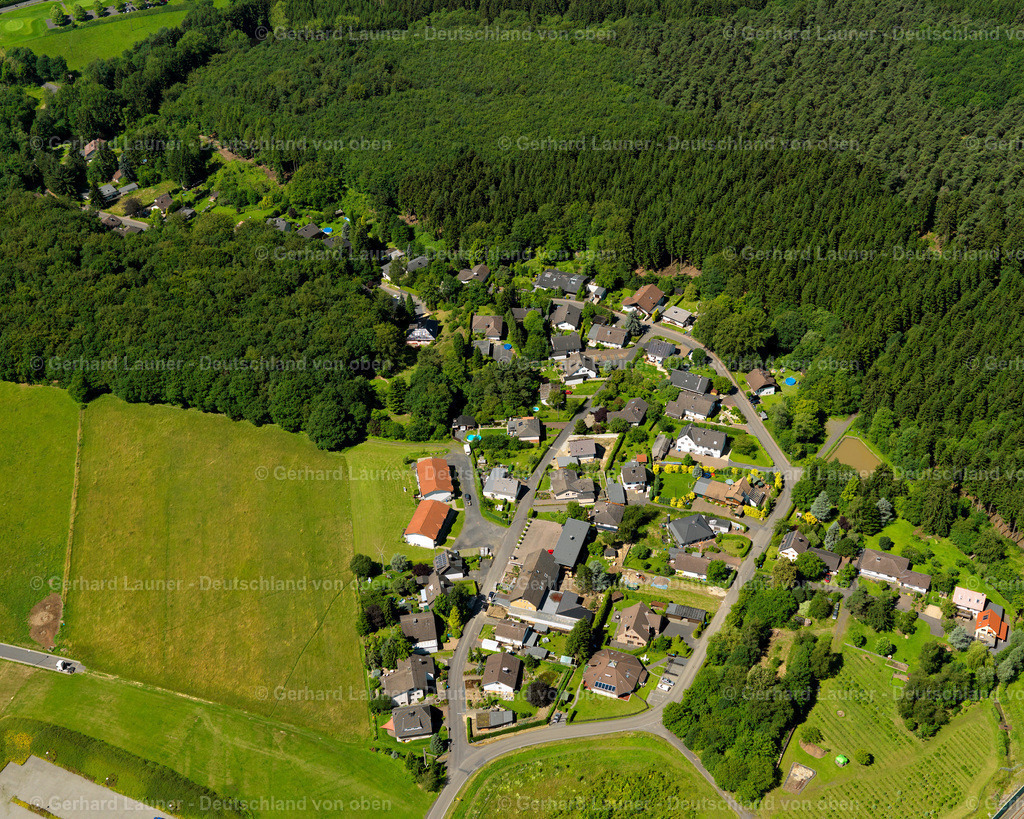 3120167 | Köhlershohn