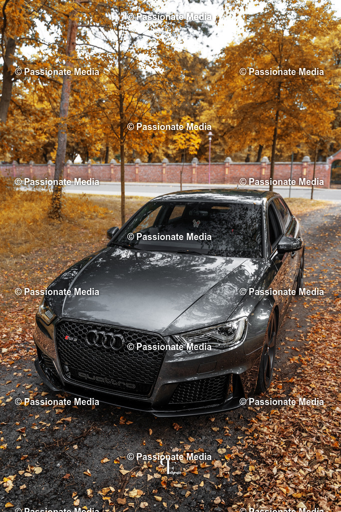 DSC07322 | Passionate Media, dein Fotograf aus Brandenburg, Märkisch Oderland, im Bereich Motorsport, Autos und Motorräder sowie Events und auch Hunde. Shootings oder auch Eventbegleitungen können bei mir gebucht we